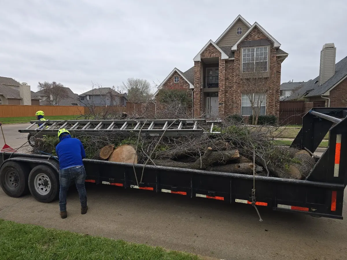 Expert Lot Clearing with proper safety equipment in La Puente